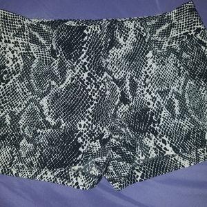 Express plaid winter shorts